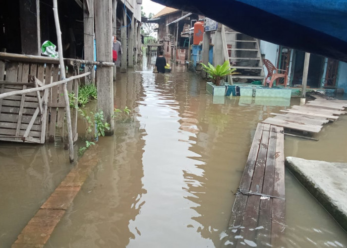 Sungai Komering Pasang, Sebagian Rumah Warga di Kayuagung OKI Terendam Banjir