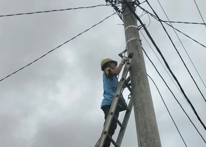 PLN ICONPLUS Lakukan Perapihan Kabel di Area Betung Kabupaten Banyuasin