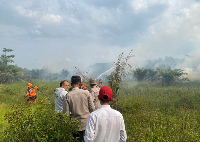 Karhutla di OKI Terjadi di 3 Lokasi, Petugas Masih Berjibaku Padamkan Api