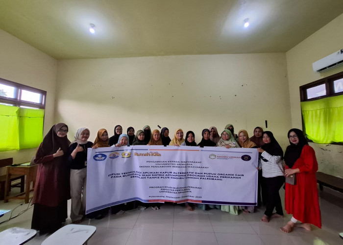 Aplikasi Kapur dan Pupuk pada Budidaya Ikan Sistem Akuaponik