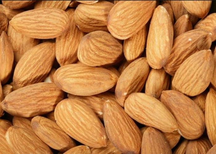 Fakta Menarik Kacang Almond, Nomor 5 Penting untuk Diketahui