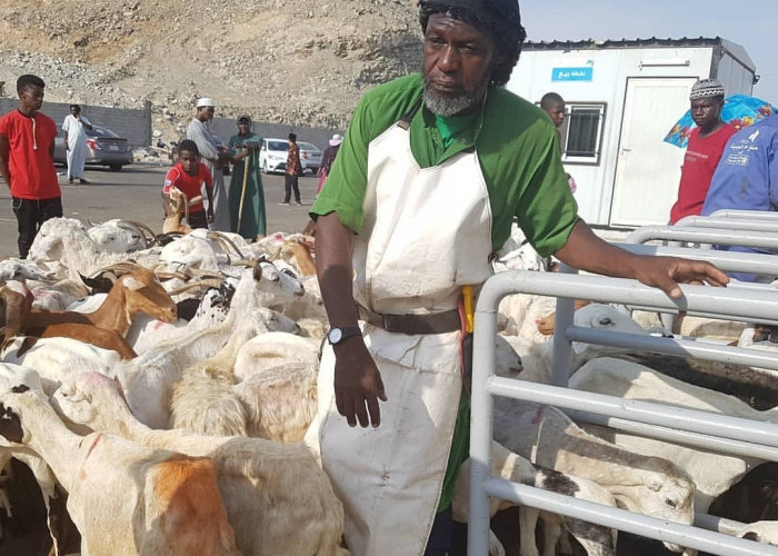 Banyak Dipertanyakan, MUI Pastikan Dam Haji Harus di Tanah Haram