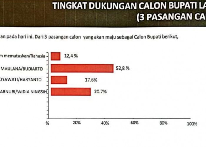 Hasil Survei Jelang Pilkada Lahat, Yulius-Budiarto Unggul Kalahkan Paslon Lain