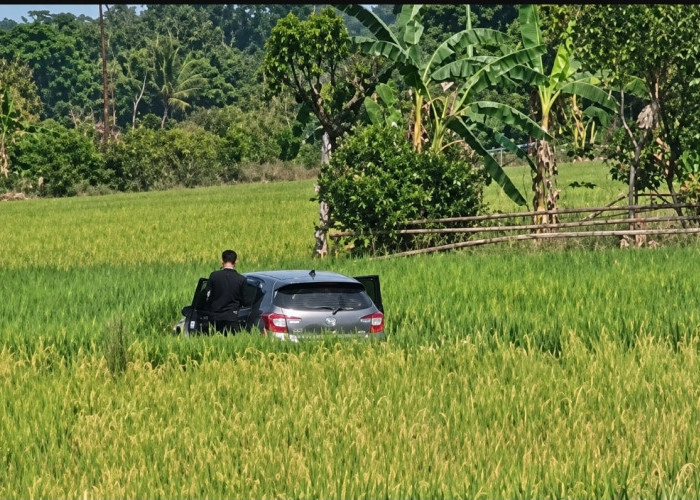 Bak Adegan Film! Kejar-kejaran Polisi dan Terduga Pengedar Narkotika Berakhir di Persawahan OKU Timur