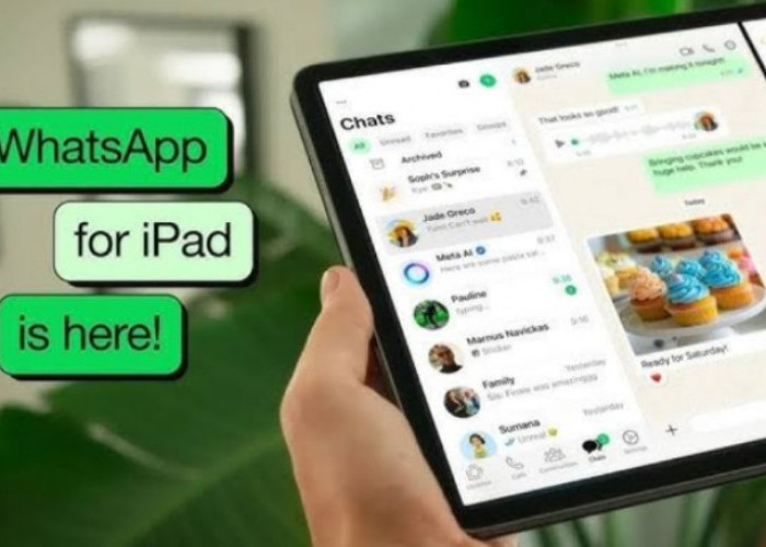 Kabar Gembira bagi Pengguna iPad, Kini WhatsApp Hadir Setelah Penantian Lebih dari Satu Dekade