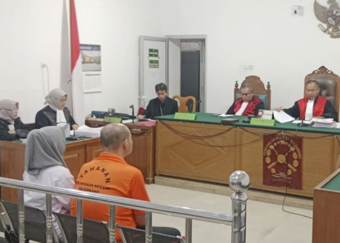 Live TikTok Adu Cupang Jadi Ajang Taruhan, Pasutri di Palembang Duduk di Kursi Pesakitan