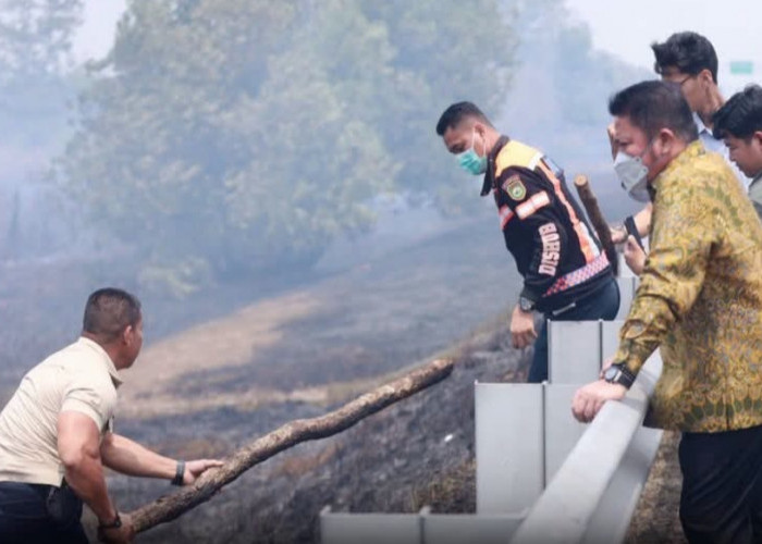 Gubernur Sumsel Tinjau Kebakaran Lahan di Dekat Tol Palindra Ogan Ilir, Pastikan Penanganan Cepat