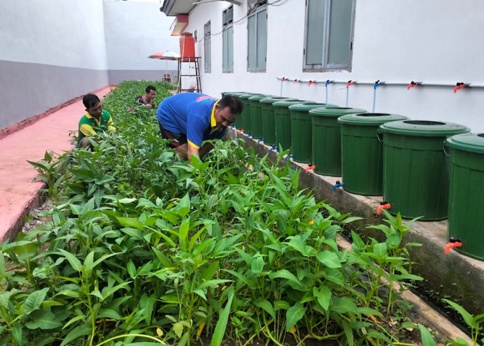 Lapas Narkotika Kelas IIA Muara Beliti Optimalkan Area Brandgang untuk Program Kemandirian Warga Binaan