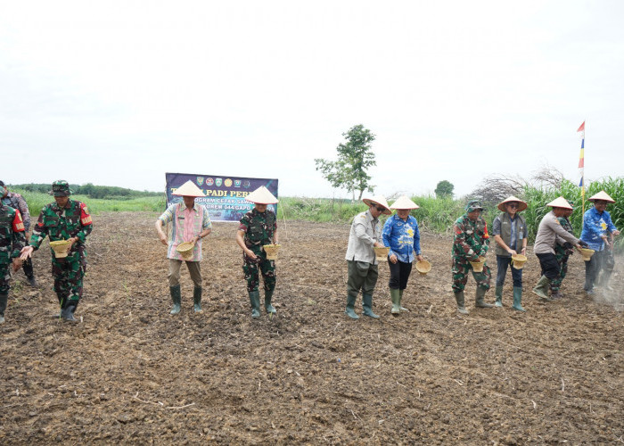 Desa Benawa OKI Lokasi Tanam Padi Perdana  Program Cetak Sawah