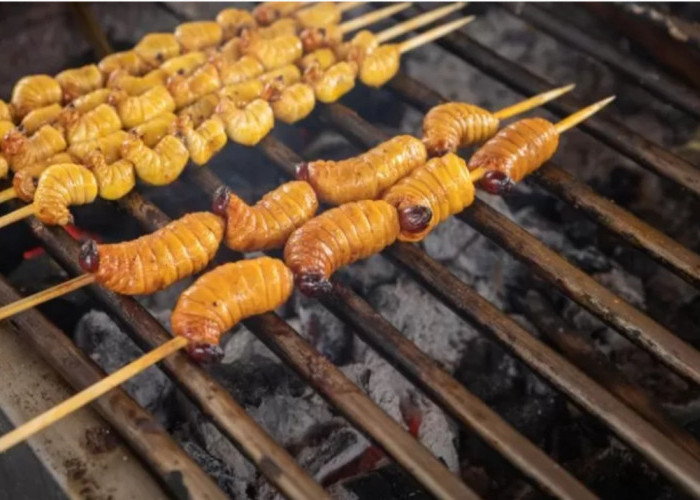 Woww! Belalang dan Ulat Sagu Bisa Jadi Menu Makan Bergizi Gratis