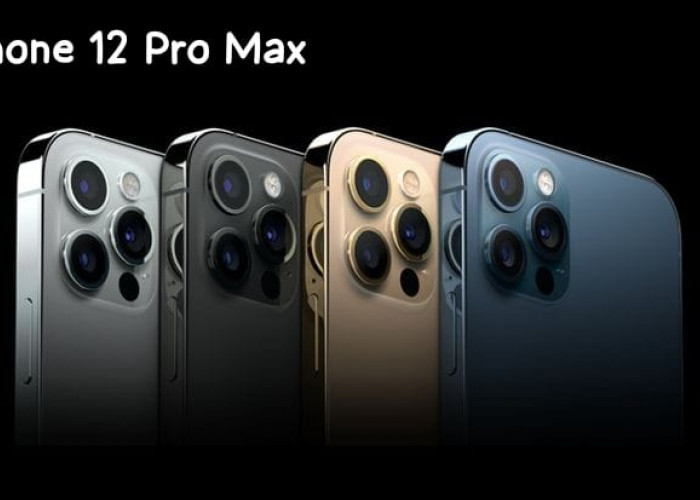 Iphone 12 Pro Max Usung Layar OLED Berteknologi Super Retina, Spek Berkelas Harga Fantastis!