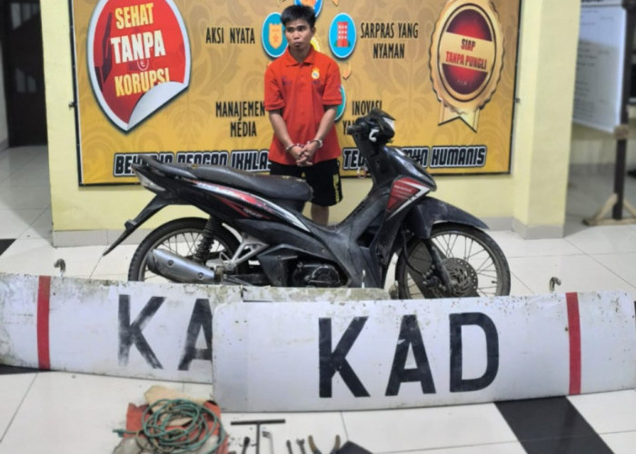 Pria Ini Nekat Curi Panel Body Pesawat di Kampung Wisata Prabumulih, Diangkut Pakai Sepeda Motor