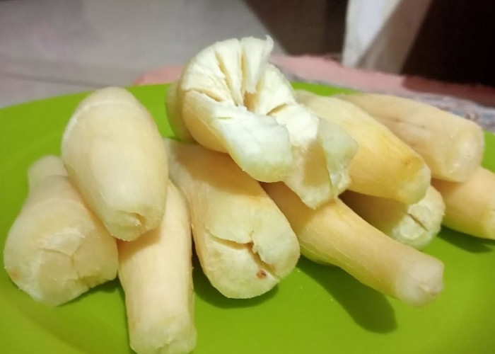 DIBONGKAR, Ternyata Ini Rahasia 5 Camilan Murah Kaya Nutrisi Buat Lansia Tetap Kuat, Sehat dan Awet Muda 