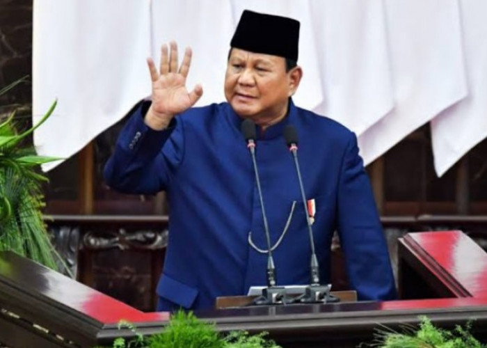 Wacana Kenaikan PPN Dikritik Anggota DPR, Dolfie Sebut Presiden Juga Bisa Turunkan Tarif PPN Jadi 5%