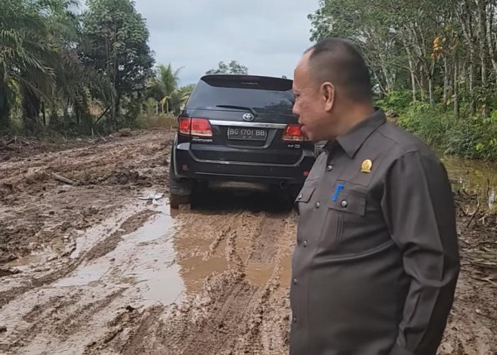 Reses ke Desa Bangun Sari, Anggota DPRD Banyuasin Posting Mobil Terjebak Lumpur, Dinas PU: Tahun Ini Dibangun