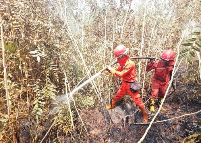 Karhutla SM Padang Sugihan Ditinjau Menhut Kolaborasi Multipihak Perkuat Pemadaman