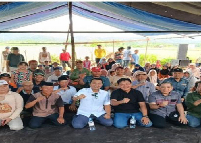 Anggota Fraksi Partai Demokrat DPRD Luwu Utara Hadiri Pesta Panen di Sabbang