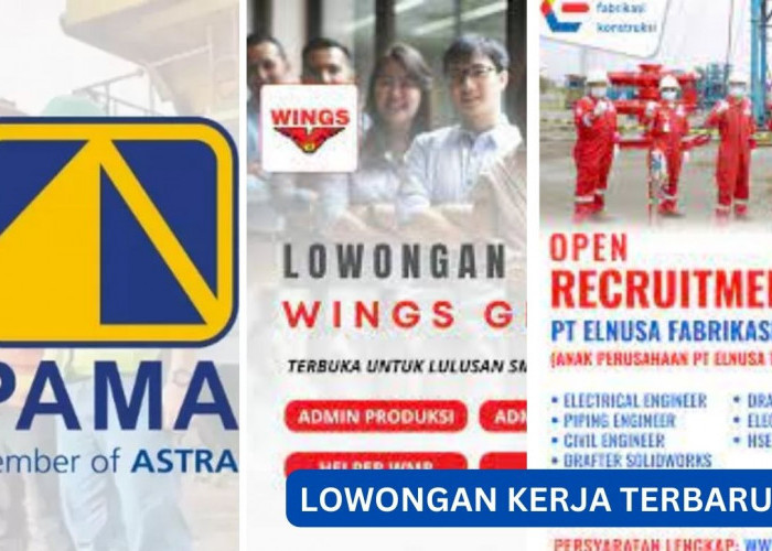 Dibuka! Lowongan Kerja Terbaru PAMA, Wings Group dan PT Elnusa Tbk dengan Beragam Posisi Menarik