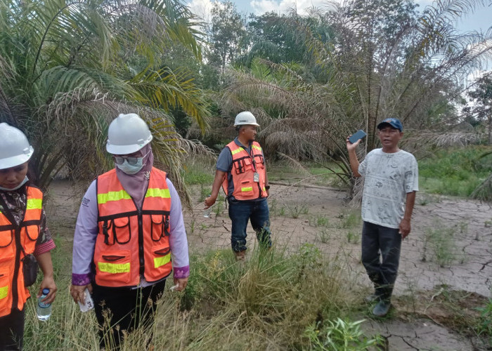 Persoalan Limbah Disposal PT TBBE di Kebun Sawit, Pemkab Muara Enim Minta Fasilitasi Ulang