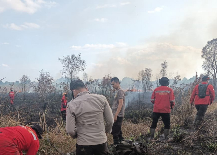 Polsek Pemulutan Ogan Ilir Bersama Tim Gabungan Berjibaku Padamkan Kebakaran Lahan di Desa Sukarami