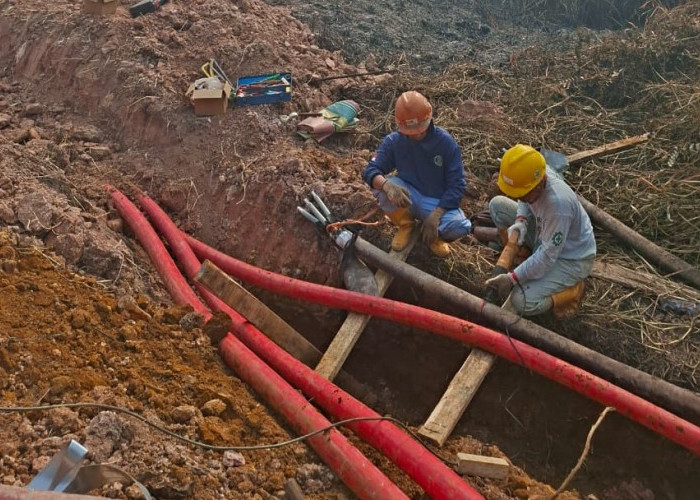 Petugas PLN UP3 Berjibaku Pulihkan Infrastruktur di Tanjung Api-api Akibat Karhutla