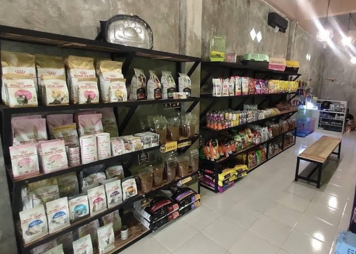  Pasar Menjanjikan, Pet Shop Menjamur di Kota Palembang 