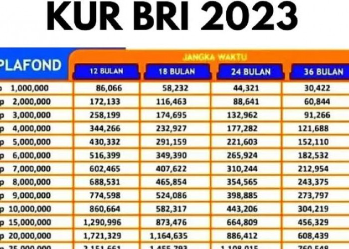 KUR BRI 2024 Akan Dibuka? Prediksi Plafon Hingga Rp100 Juta dan Bunga Rendah, Ini Cara Pengajuannya