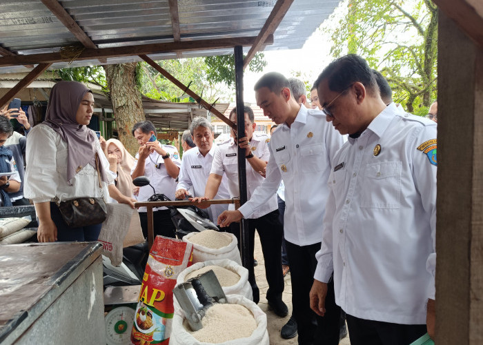 Jelang Idulfitri 1446, Bupati OKI Pantau Harga Kebutuhan Pokok di Pasar Kayuagung