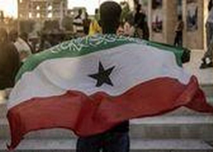 Tunjuk Dubes, Israel Negara Pertama Mengakui Kemerdekaan Somaliland