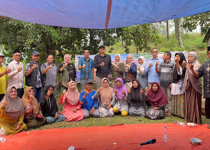 Wujud Hilirisasi Batu Bara untuk Pertanian, PTBA Bersama UGM Uji Coba Pupuk Kalium Humat di Sawahlunto