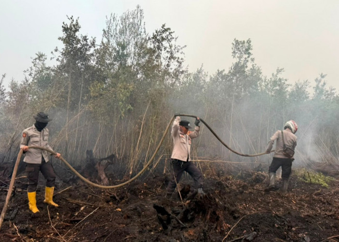 Api Mengintai dari Bawah Gambut, Petugas Berjibaku di Penanggoan Duren Tulung Selapan OKI