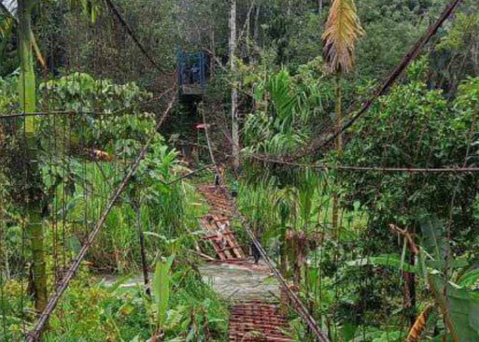Jembatan Gantung di Lahat Putus, Warga di 2 Desa Terpaksa Seberangi Sungai ke Kebun