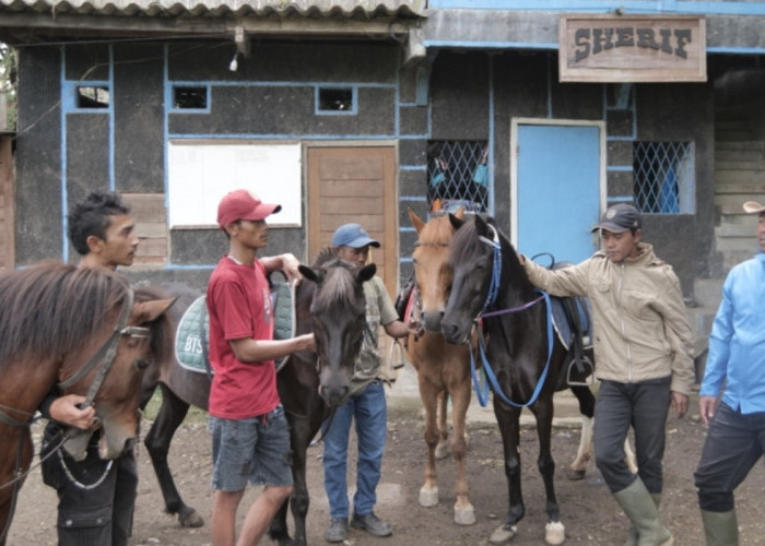 Kampung Koboi Tugu Selatan, Wujud Transformasi Desa Berbasis Potensi Lokal dalam Program Desa BRILiaN
