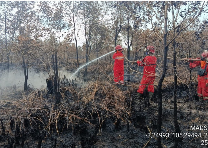 2 Hektar Lahan Gambut di Desa Petaling Kecamatan Tulung Selapan OKI Terbakar