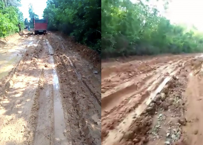 Viral Curhatan Jalan Rusak Warga Desa Kuang Dalam di Medsos, Begini Respon Dinas PUPR Ogan Ilir