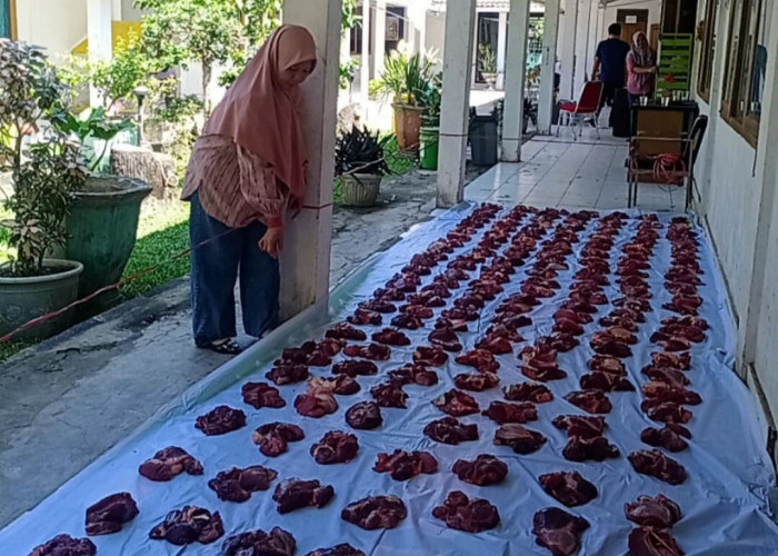 Ini Langkah yang Perlu Diketahui agar Daging Kurban tetap Awet Disimpan dalam Freezer