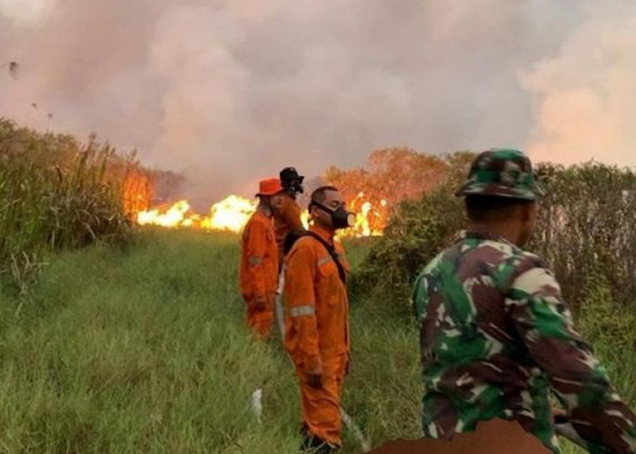 Ini Data 11 Lokasi Lahan Perusahaan dan Warga Terbakar di Wilayah Kabupaten OKI Disegel Dirjen Gakkum KLHK 
