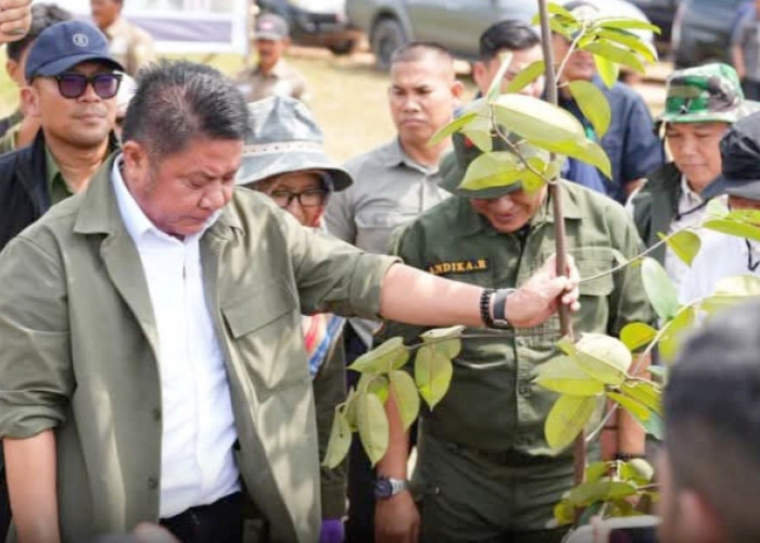 Tinjau Sriwijaya Science Techno Park di Ogan Ilir, Gubernur Sumsel Sebut Bukti Nyata Implementasi GSMP