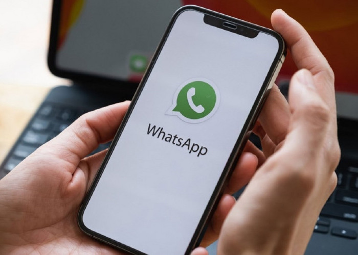 10 Langkah Mengembalikan Chat di Aplikasi WhatsApp yang Sudah Dihapus Permanen!