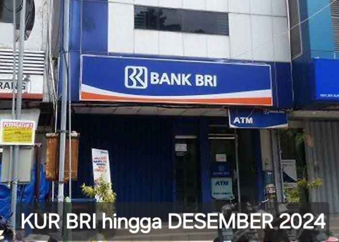 KUR BRI Buka hingga Desember 2024, Pelaku UMKM Sumatera Selatan Begini Cara Pengajuannya!