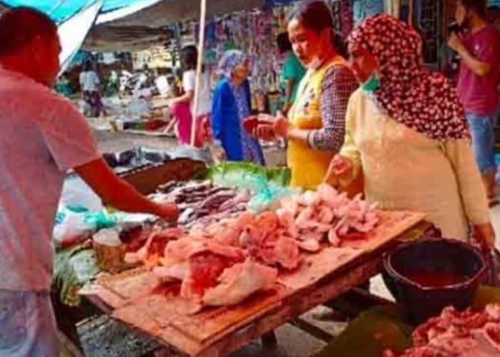 Waw! Harga Ayam Potong Di Kabupaten Musi Banyuasin Masih Nangkring Rp39 Ribu Per Kilogram