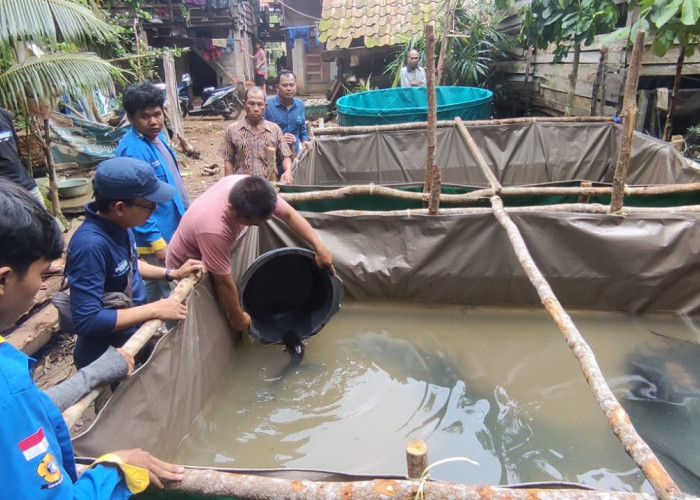 Merintis Usaha Pembenihan Ikan di Lahan Gambut, Desa Perigi Pangkalan Lampam Ogan Komering Ilir