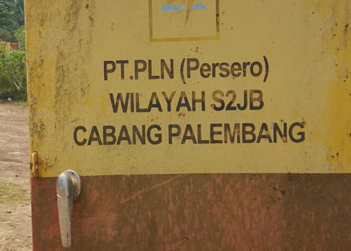 Listrik di Desa Mulyasari Sebulan tak Menyala