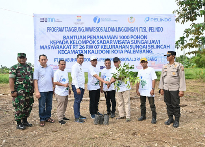 Pelindo Tanam 1000 Pohon Produktif di Sumatera Selatan