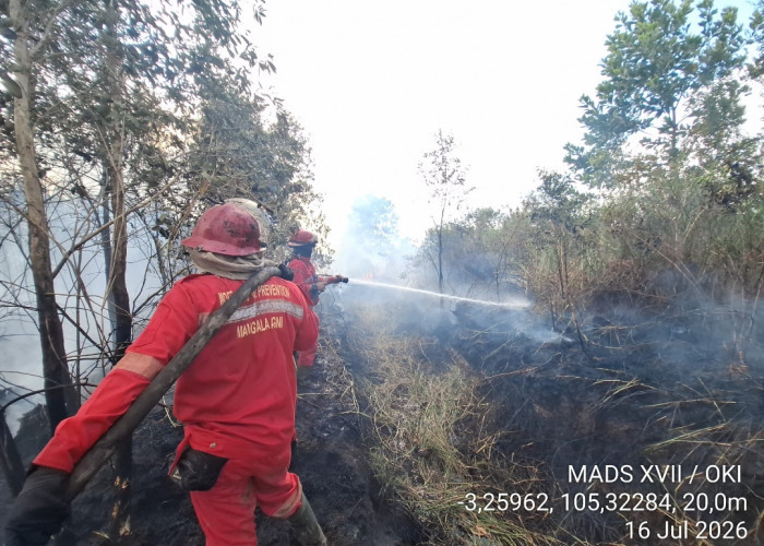 8 Hektar Lahan Gambut di Tulung Selapan Ilir Terbakar, Dibutuhkan Pemadaman Lanjutan