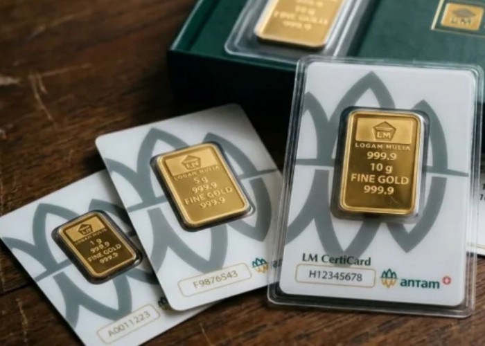 Harga Emas ANTAM Hari Ini 10 Juli 2026 Naik Rp17.000, Simak Daftar Lengkap dari 0,5 Gram hingga 1 Kg