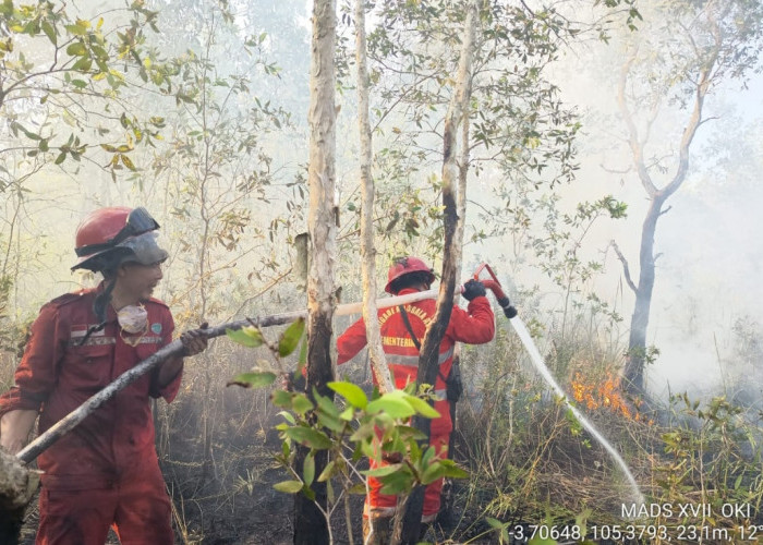 Pemadaman Karhutla di Kabupaten OKI Terkendala Sumber Air Jauh, Sehari 4 Kecamatan Lahan Terbakar