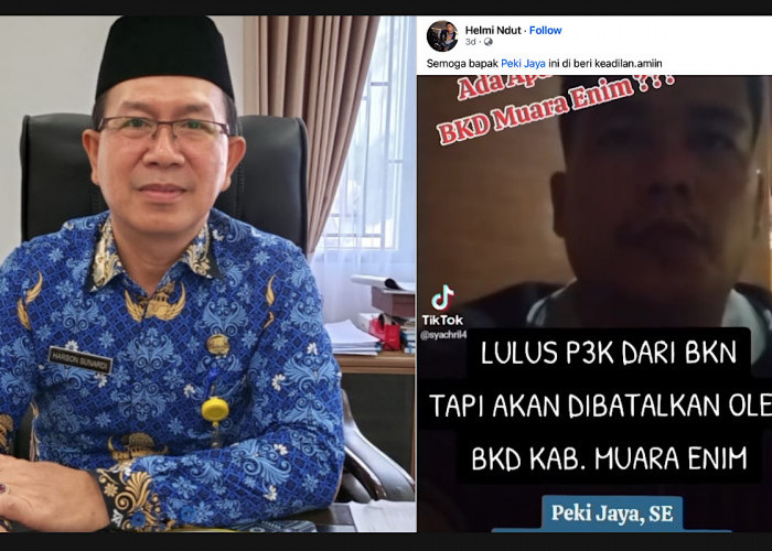 HEBOH, Dibatalkan Lulus PPPK Peki Jaya Ungkap Ada Surat Kadishub Dirinya Aktif Bekerja