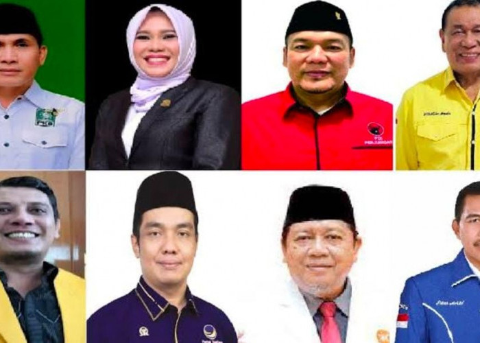 Segini Jumlah Harta Kekayaan 8 Calon Anggota Senayan Daerah Pemilihan Sumsel 1, Tajir Melintir Deh!