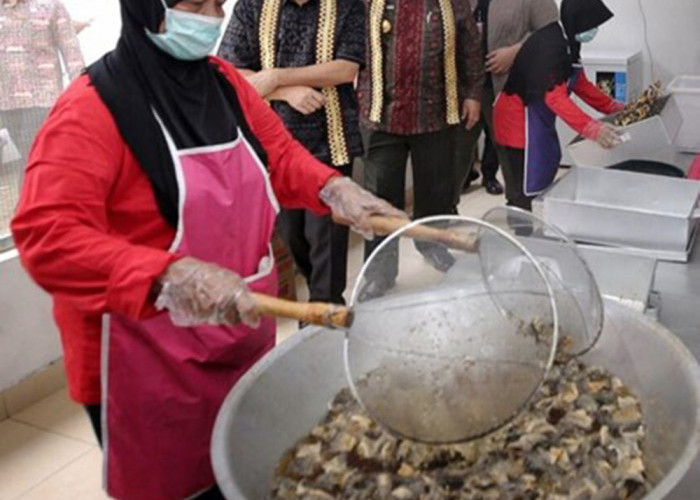 Keripik Kulit Ikan Rafins Snack Go Internasional! Berkat KUR BRI dan Aktif di Pameran